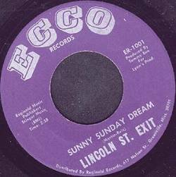 Lincoln Street Exit : Sunny Sunday Dream - The Bummer